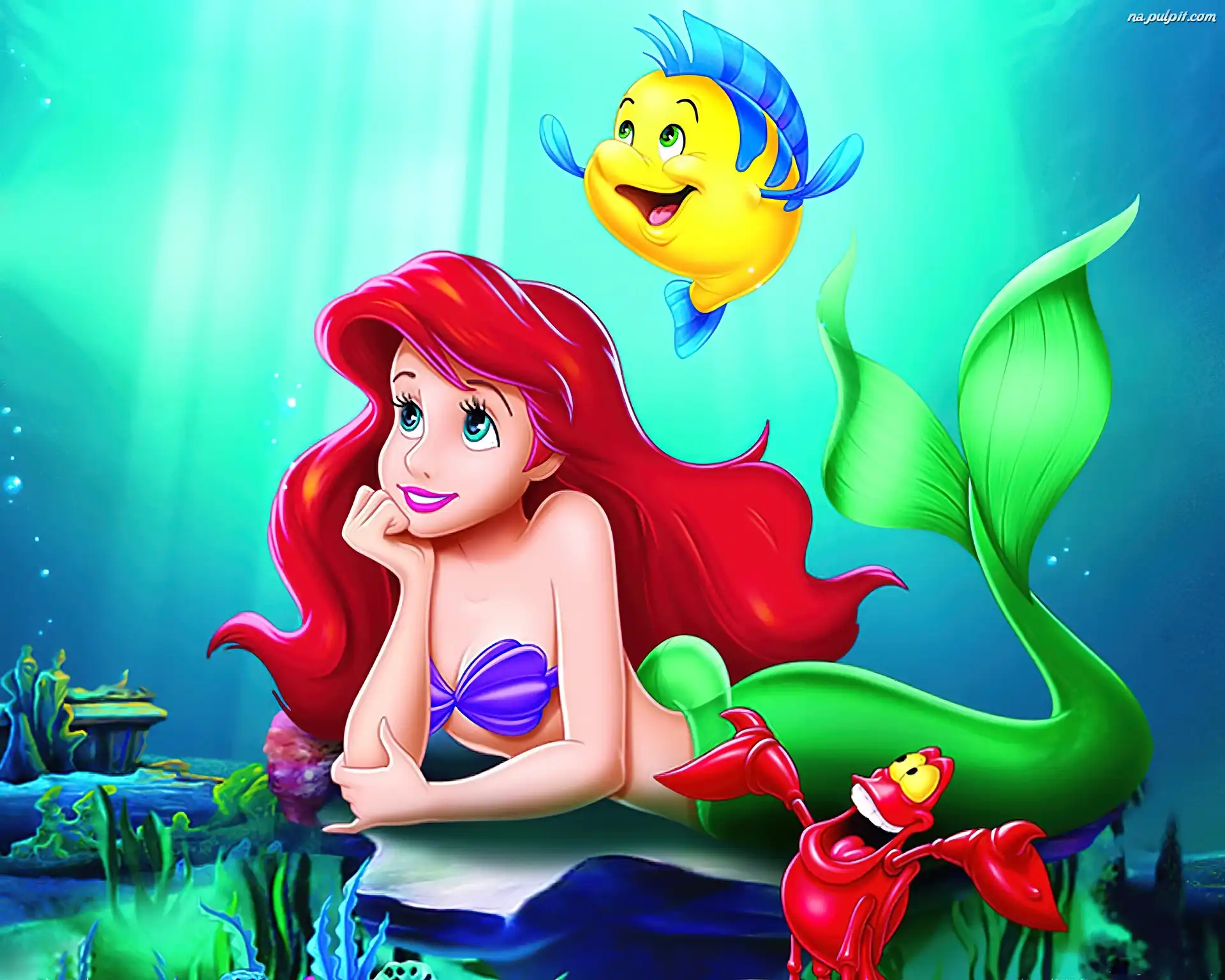 syrenka ariel